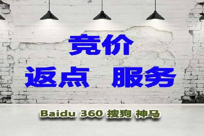 SEM服务案例：打造行业领先品牌